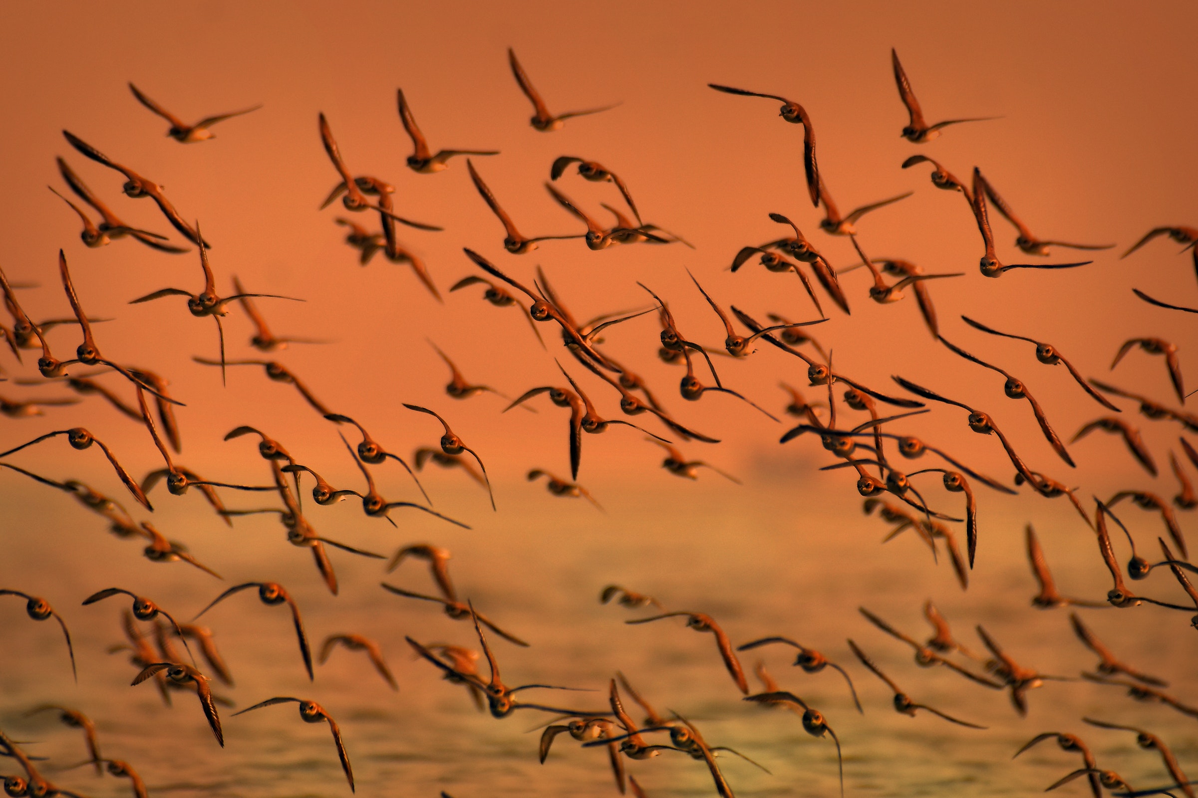 Webdrips Drupal Migrations and Upgrades